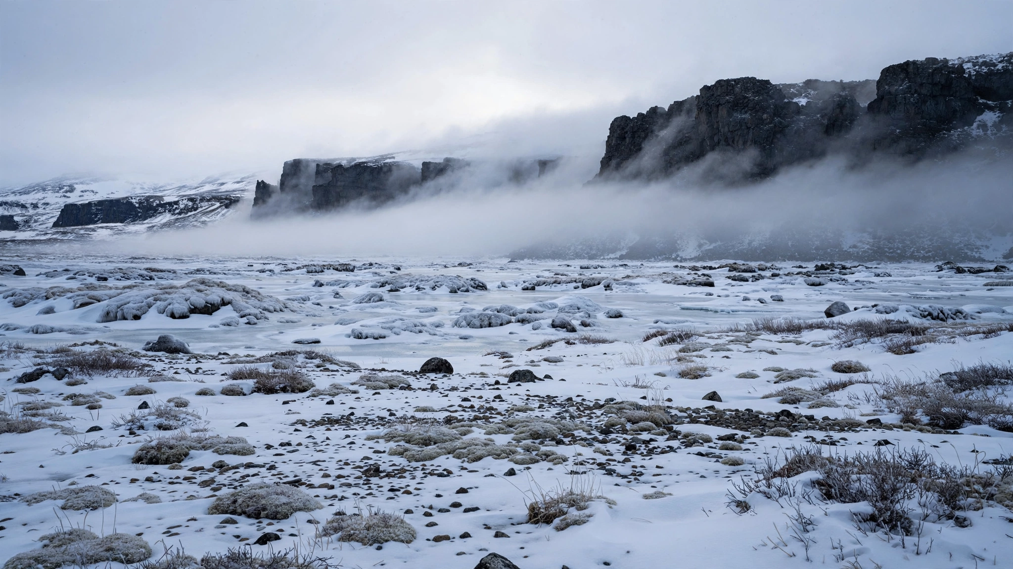 Snow-covered tundra and dark rocky cliffs under low fog in a remote Arctic landscape.