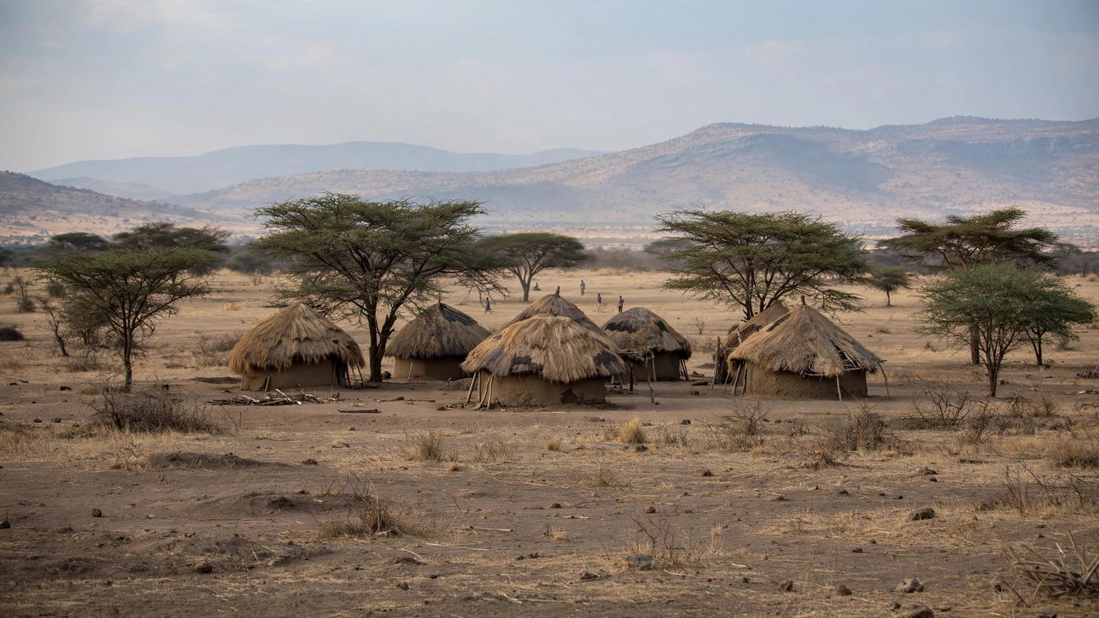 A small rural village of thatched-roof huts with acacia trees on a dry plain, with hills in the distance.