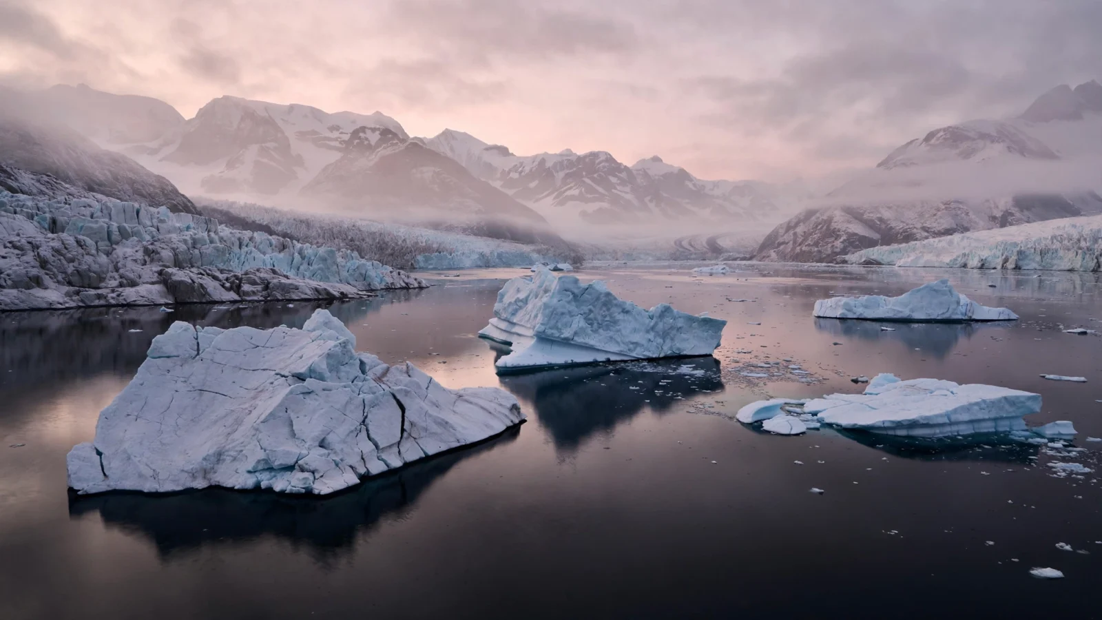 Icebergs float in a calm Arctic fjord beneath snow-covered mountains at dawn.