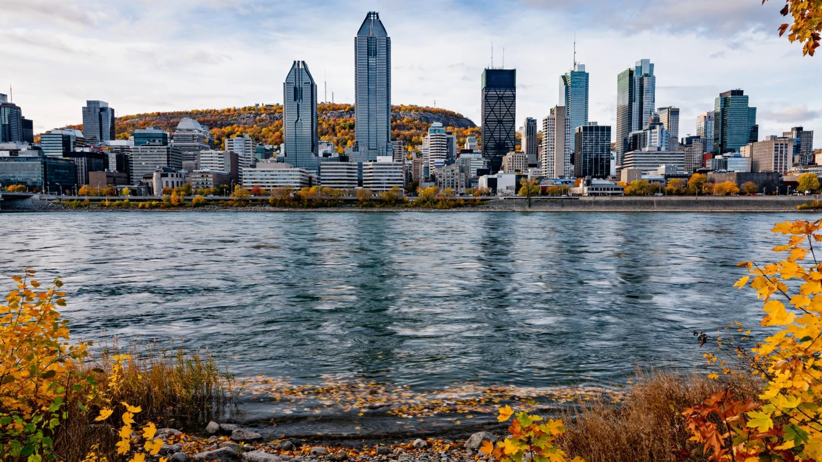 The Montreal skyline across a wide river in autumn, with downtown towers and trees in fall color.