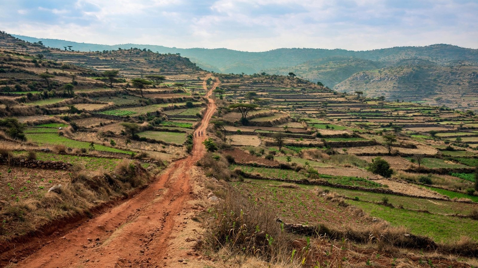 A red dirt road running through terraced fields and hills, with three small figures walking in the distance