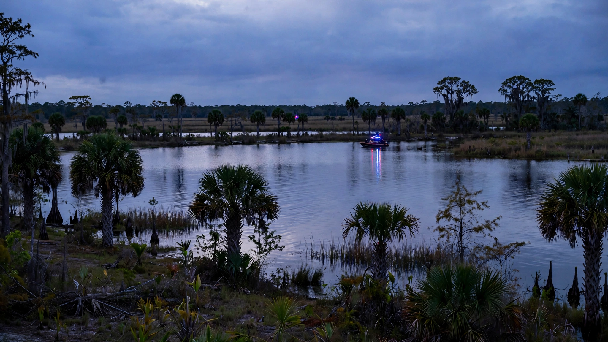 A rescue boat with flashing lights on a Florida pond at dusk, with palm trees along the shore.