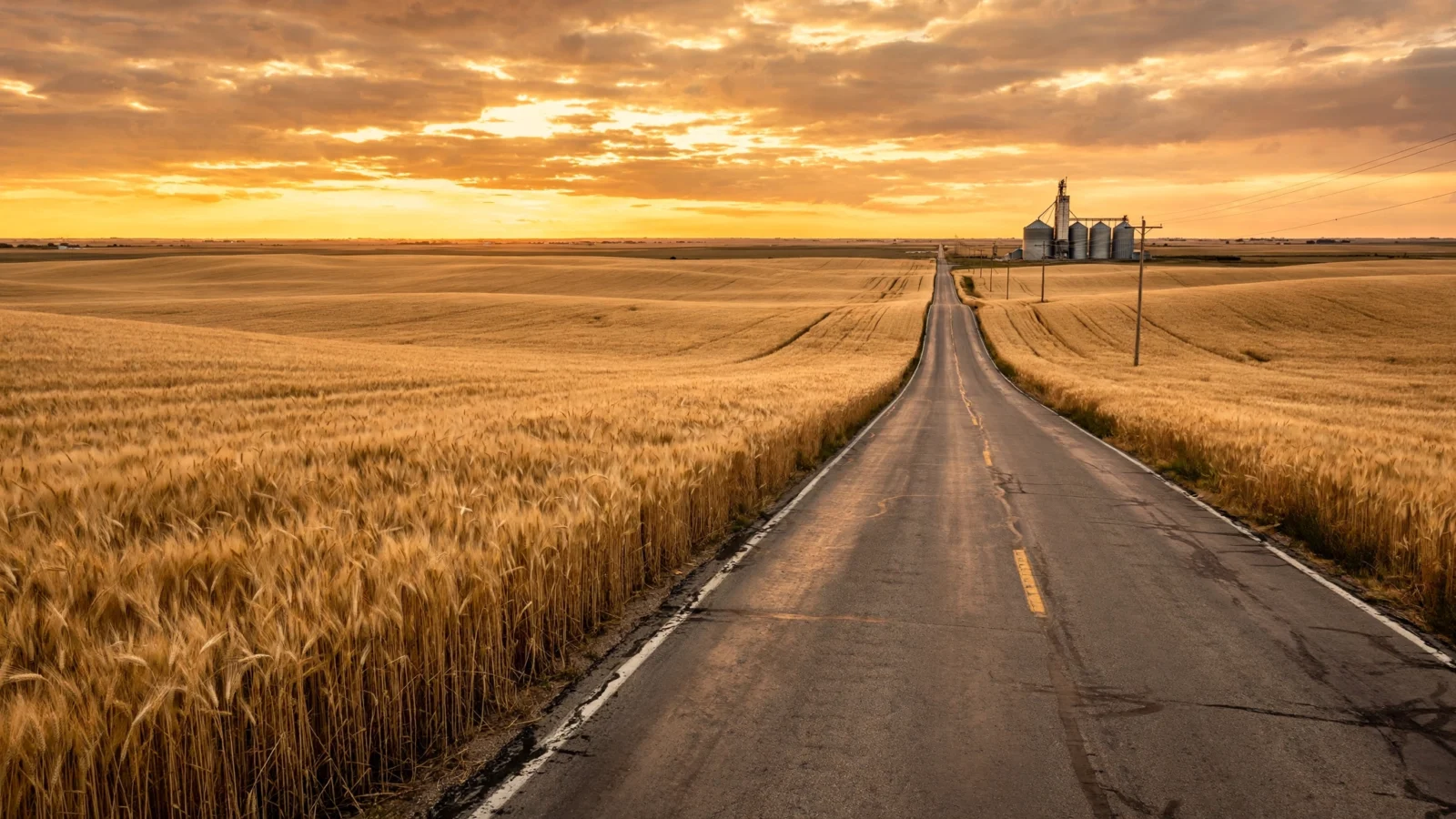 Wheat field at sunset along a two-lane road in Kansas with a grain elevator in the distance
