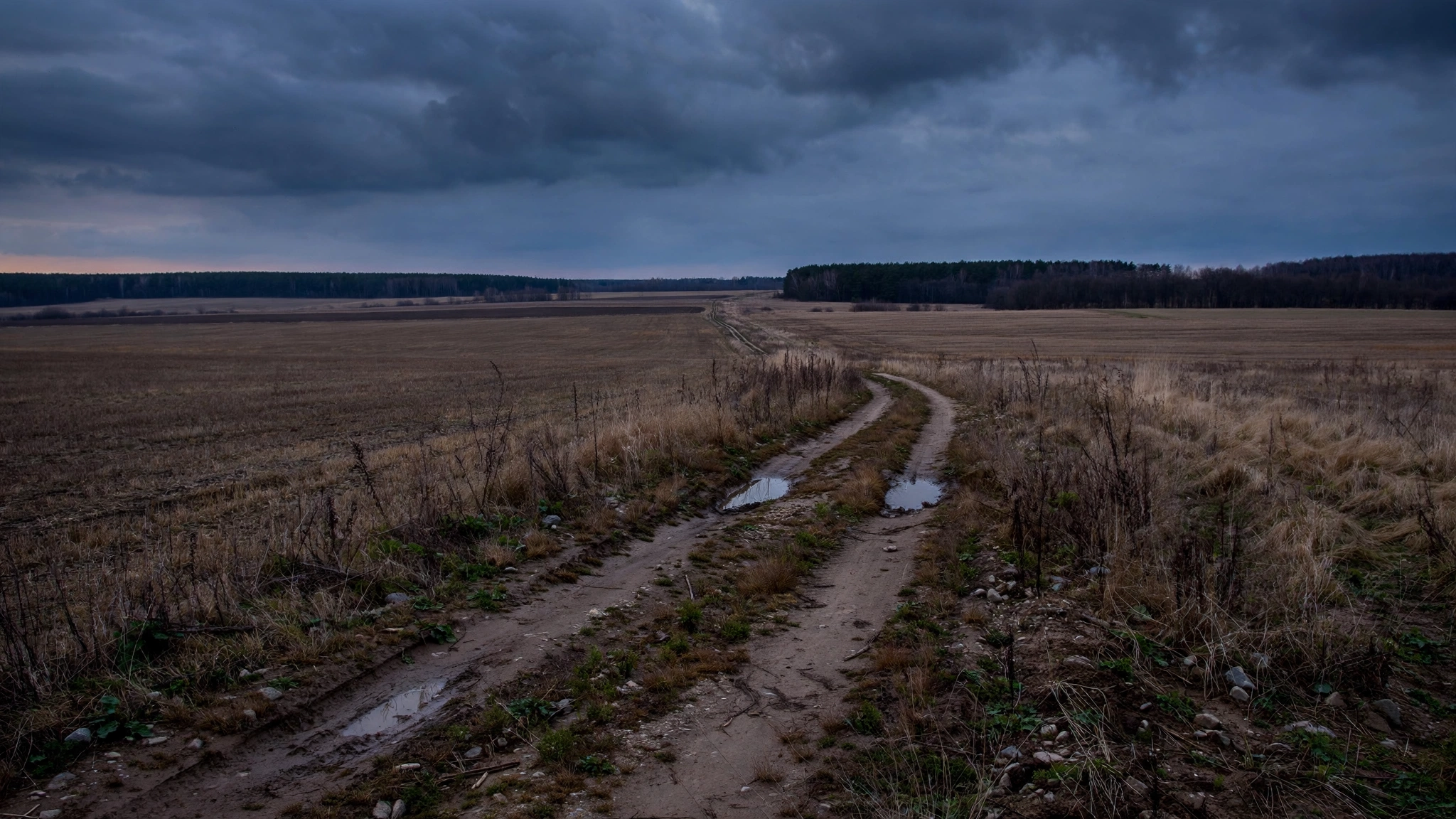 A dirt track crossing open fields under a dark, overcast sky, with a tree line on the horizon.