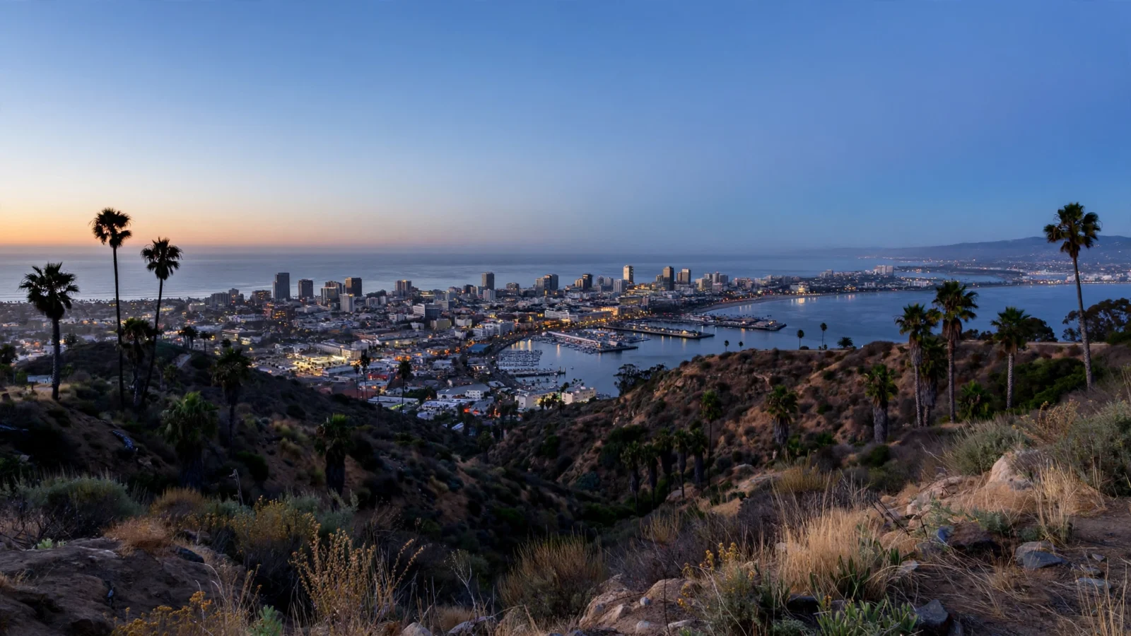 A Southern California coastal city and harbor seen from brush-covered hills at dusk, with palm trees in the foreground and buildings lit along the shoreline.