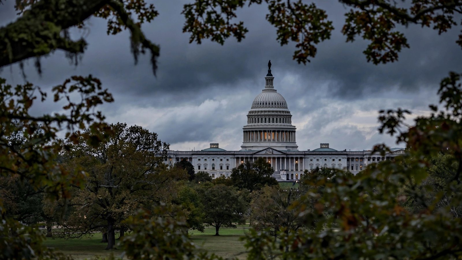 The U.S. Capitol dome framed by trees under a cloudy evening sky