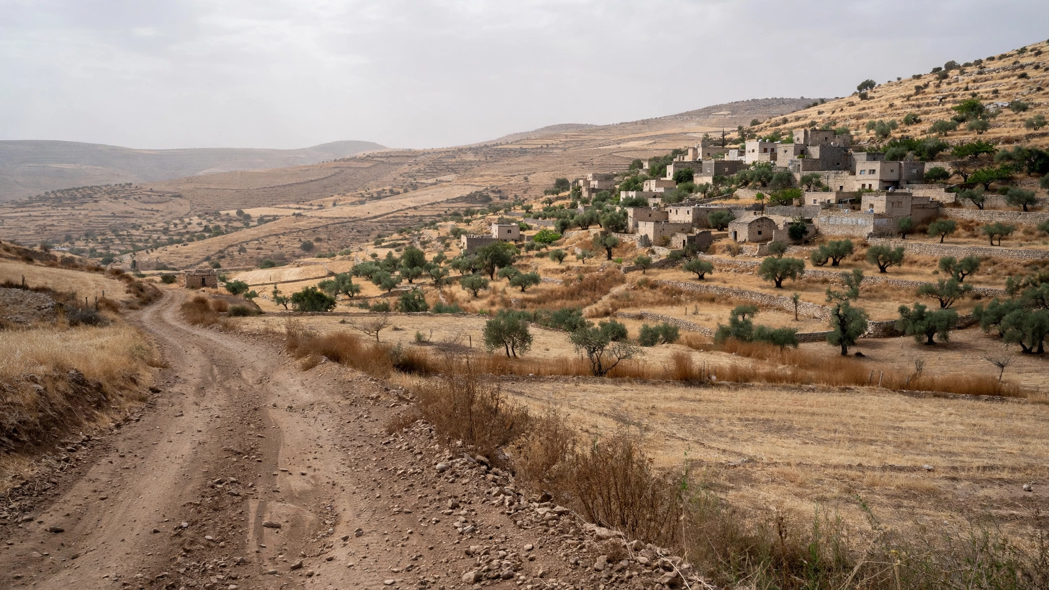 A dirt road leading to stone houses on a dry hillside with olive trees and terraced fields