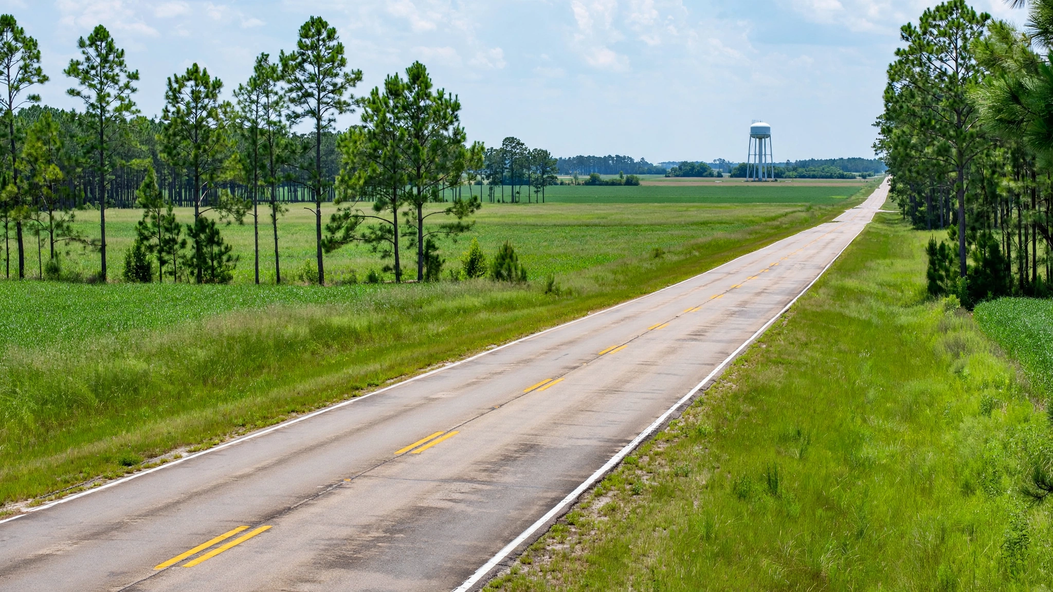 A two-lane rural highway running past green fields and pine trees, with a water tower in the distance