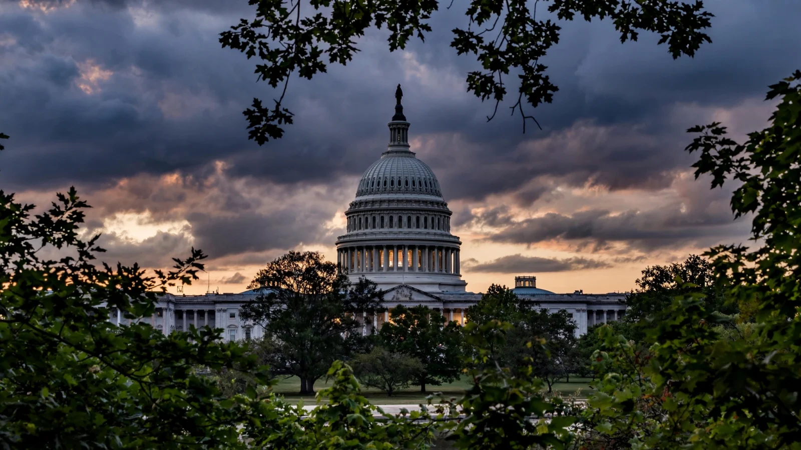 The dome of the US Capitol framed by tree branches under a cloudy sky at dusk.