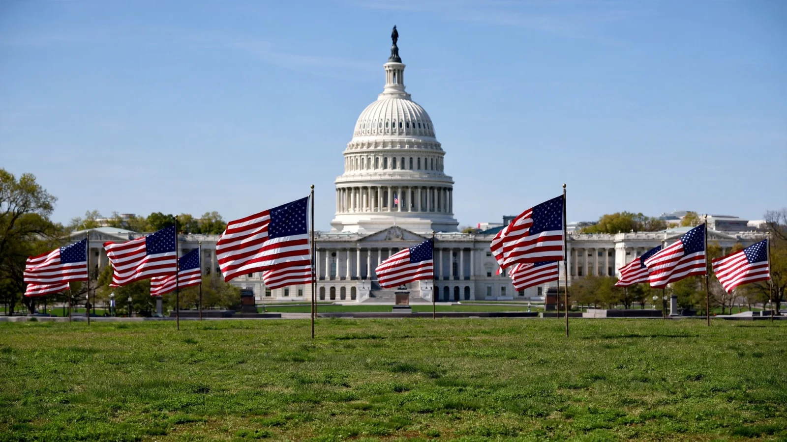 The U.S. Capitol dome in Washington, D.C., with American flags on the lawn
